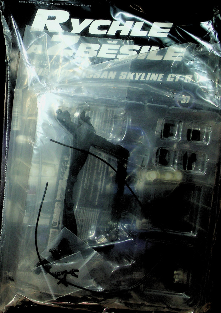 Nissan Skyline GT-R (37/26)