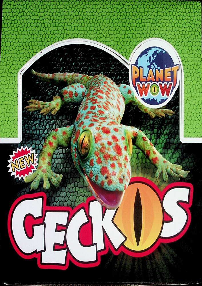Gekoni (Geckos kolekce) (2023)