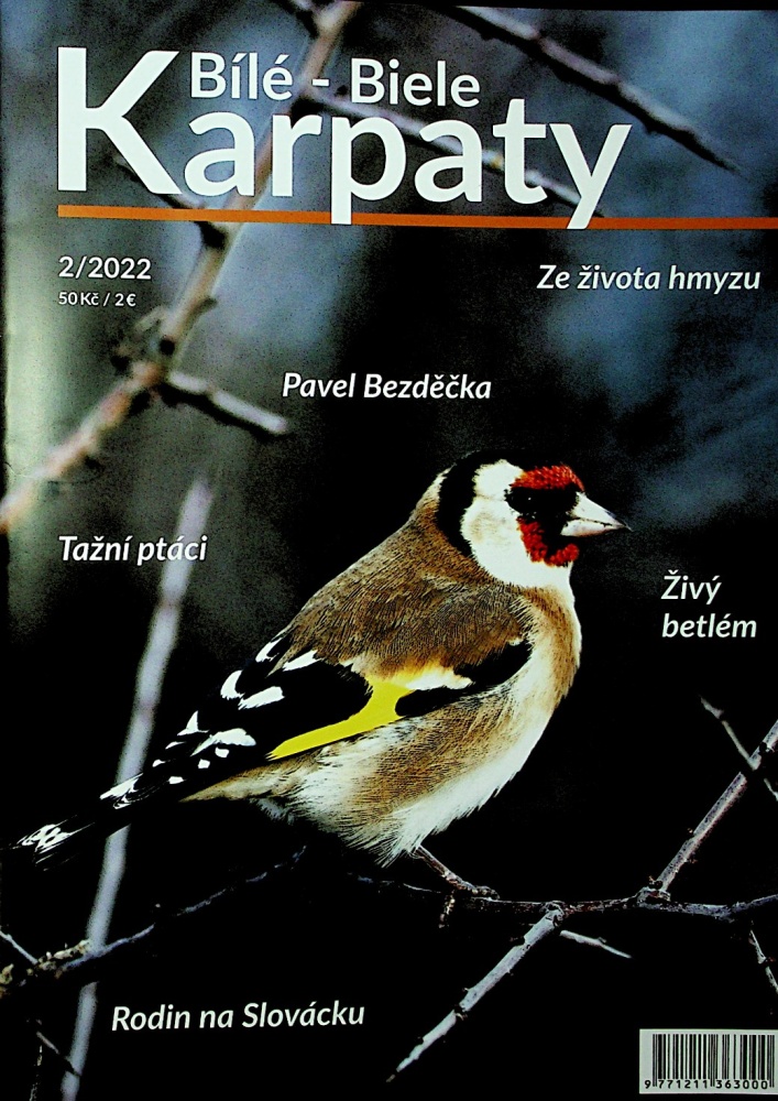 BILE KARPATY (2/22)